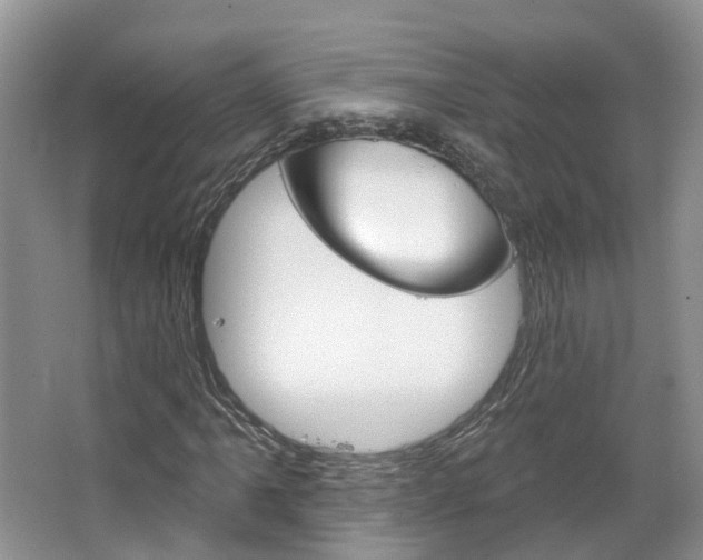 X0000067511061200604071043
