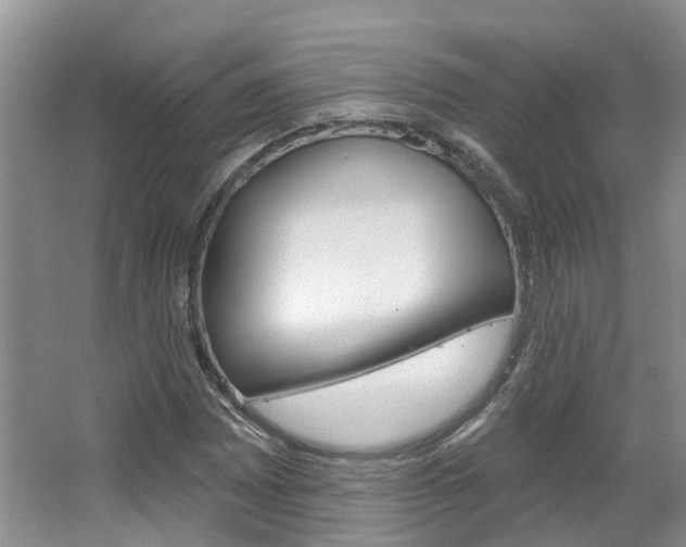 X0000067511065200604071043