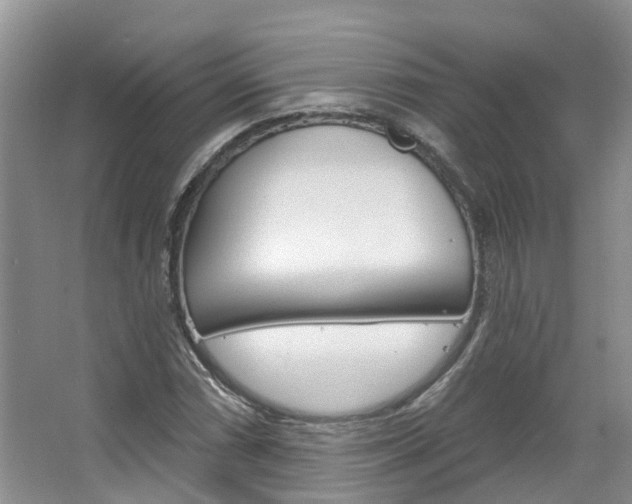 X0000067511066200604071043