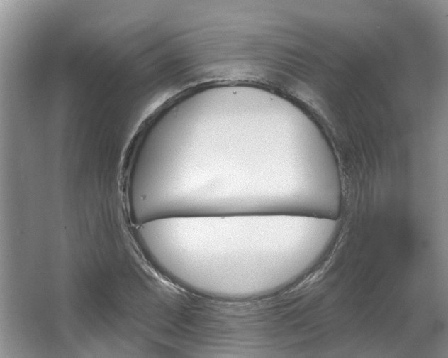 X0000067511071200604071043