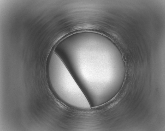 X0000067511073200604071043