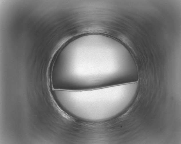 X0000067511082200604071043