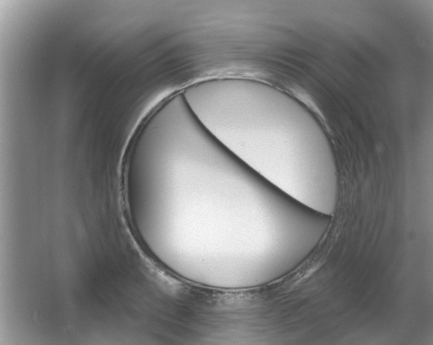 X0000067511087200604071042