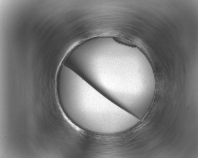 X0000067511095200604071042