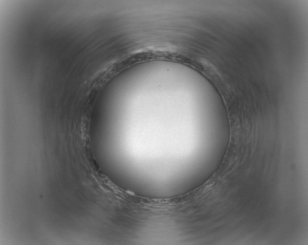 X0000067511110200604071041
