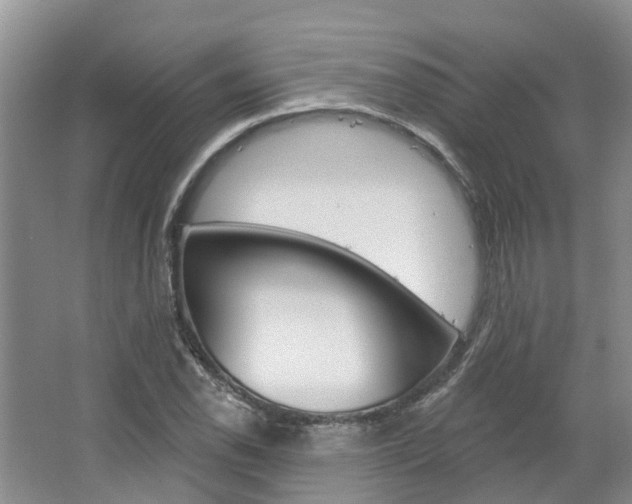 X0000067511118200604071042