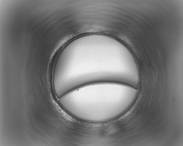 X0000067511122200604071042