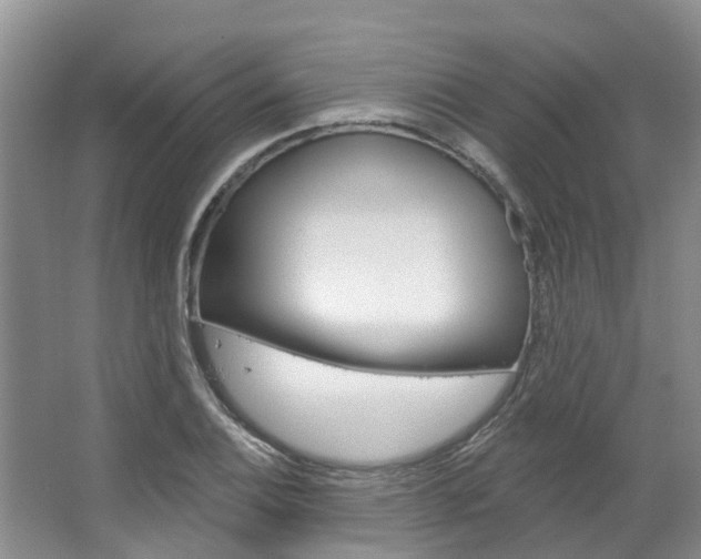 X0000067511124200604071042