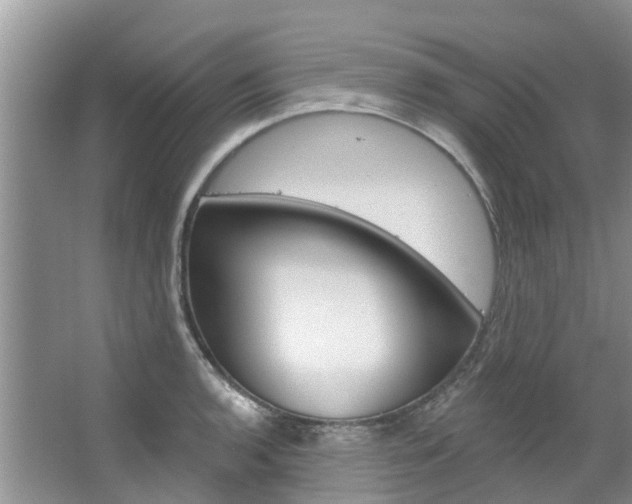X0000067511136200604071042