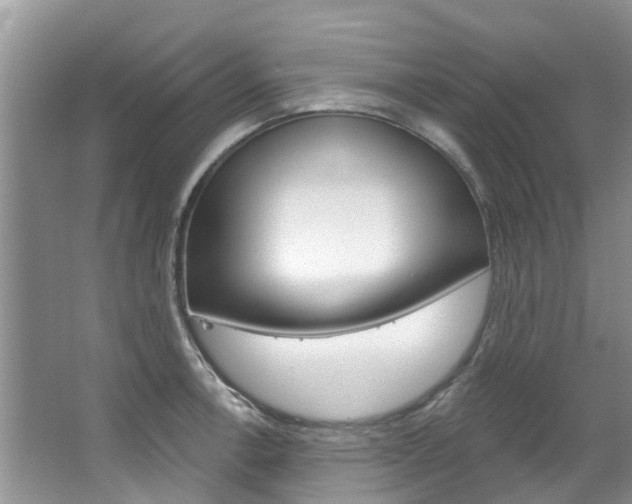 X0000067511138200604071042