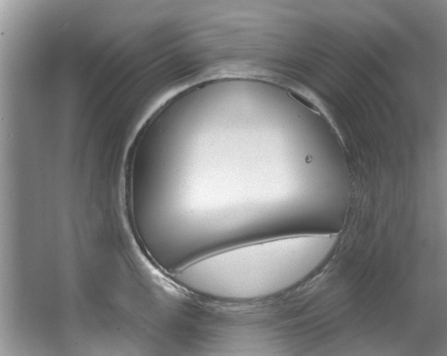 X0000067511147200604071042