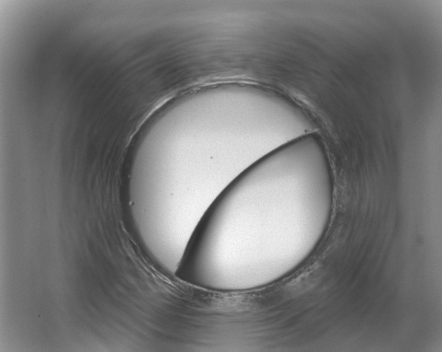 X0000067511162200604071041
