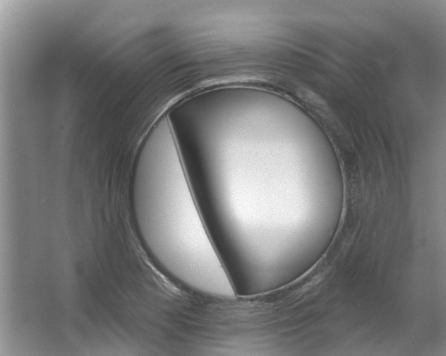 X0000067511177200604071041