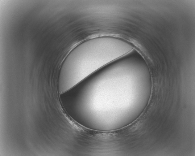 X0000067511185200604071041