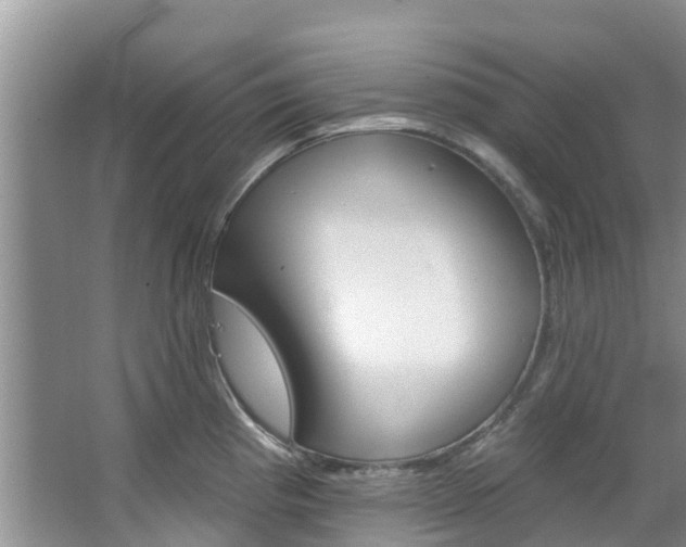 X0000067511193200604071041