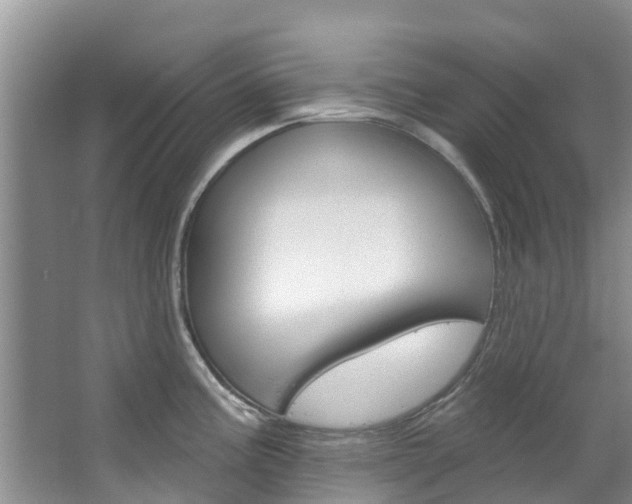 X0000067511195200604071041