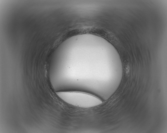 X0000067511204200604071040