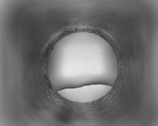 X0000067511207200604071040