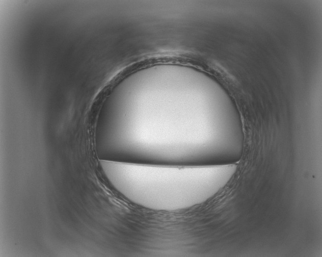 X0000067511208200604071040