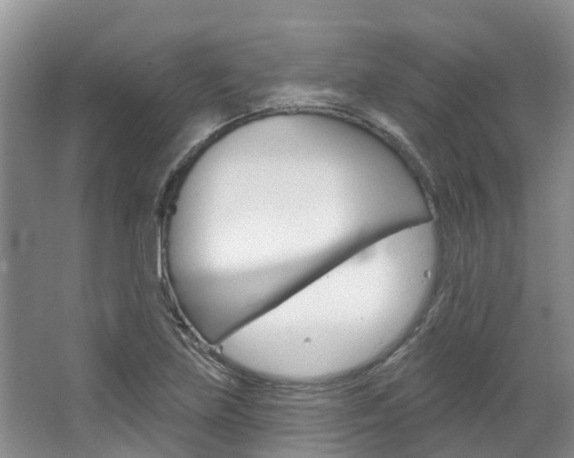 X0000067511219200604071040