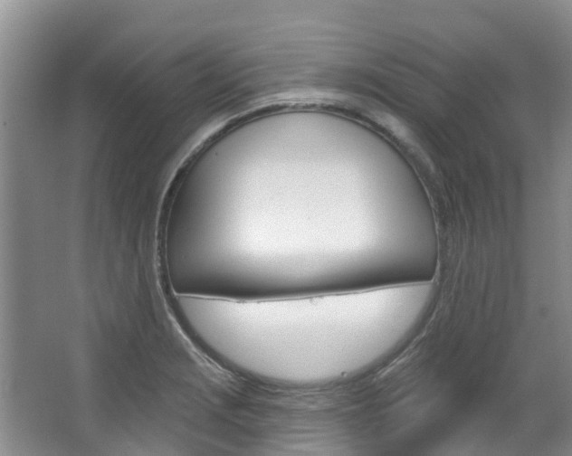 X0000067511229200604071040