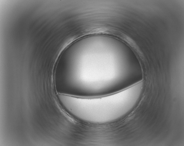 X0000067511234200604071040