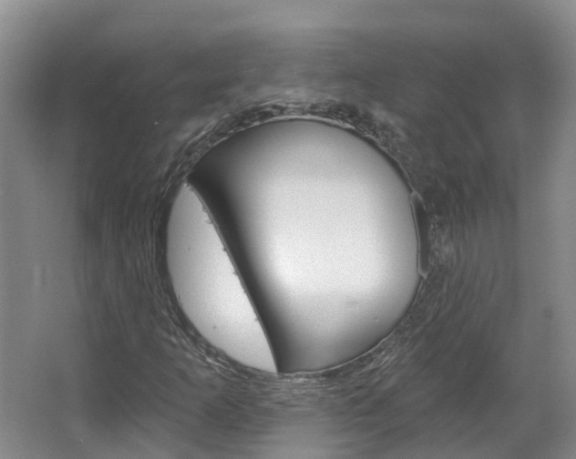 X0000067511253200604071040