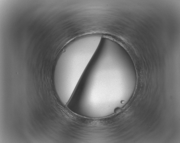 X0000067511265200604071040