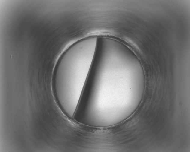 X0000067511277200604071039