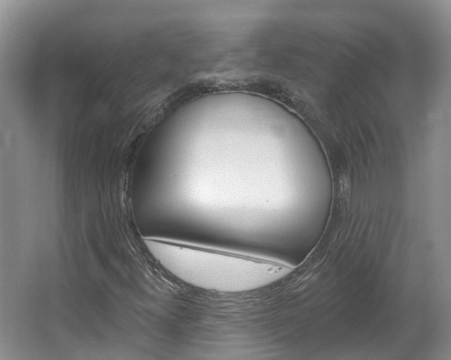 X0000067511300200604071038