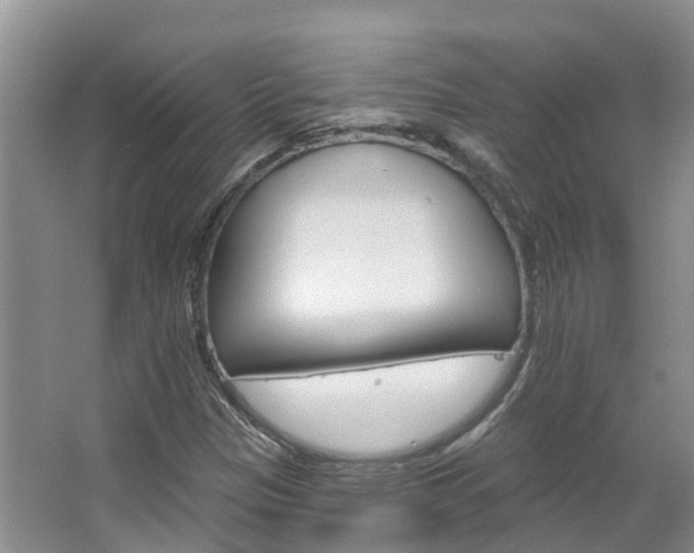 X0000067511305200604071038