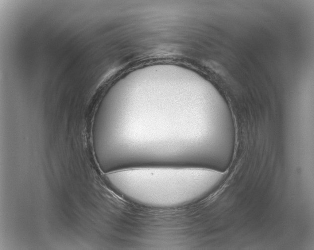X0000067511306200604071038
