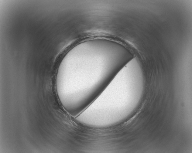 X0000067511309200604071038