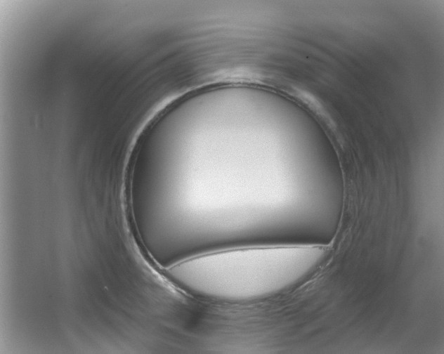 X0000067511331200604071039