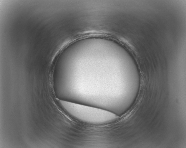 X0000067511357200604071038