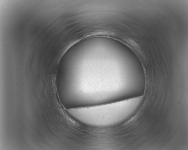 X0000067511369200604071038