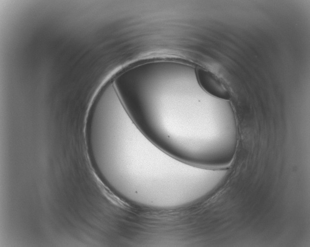 X0000067511372200604071038