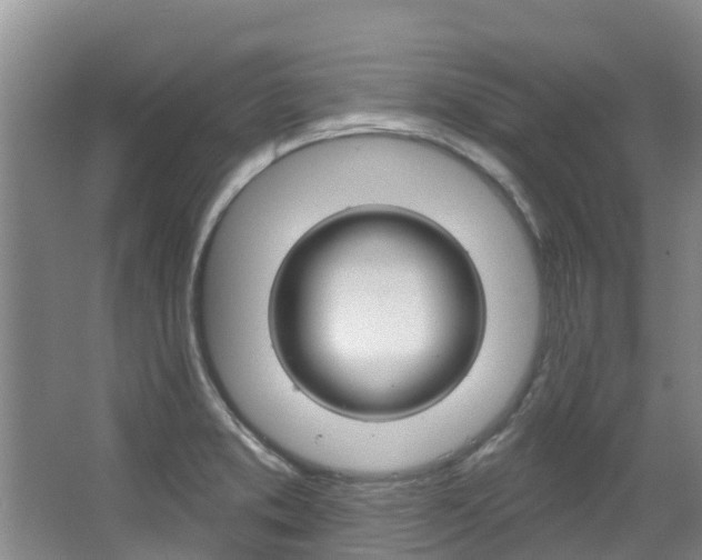 X0000067511373200604071038
