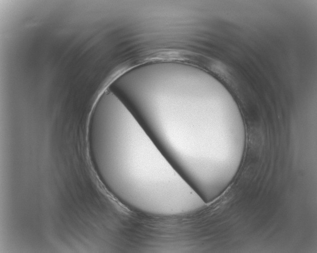 X0000067511378200604071038