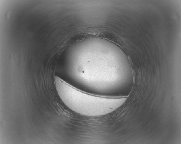 X0000067511394200604071037
