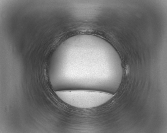 X0000067511396200604071037