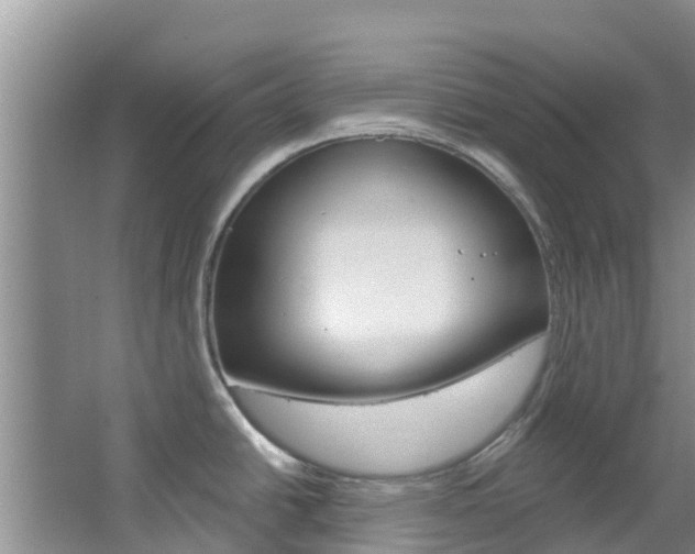 X0000067511438200604071037
