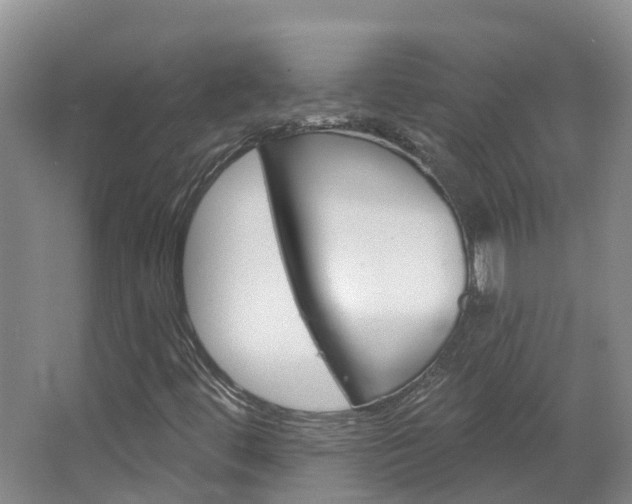 X0000067511444200604071037