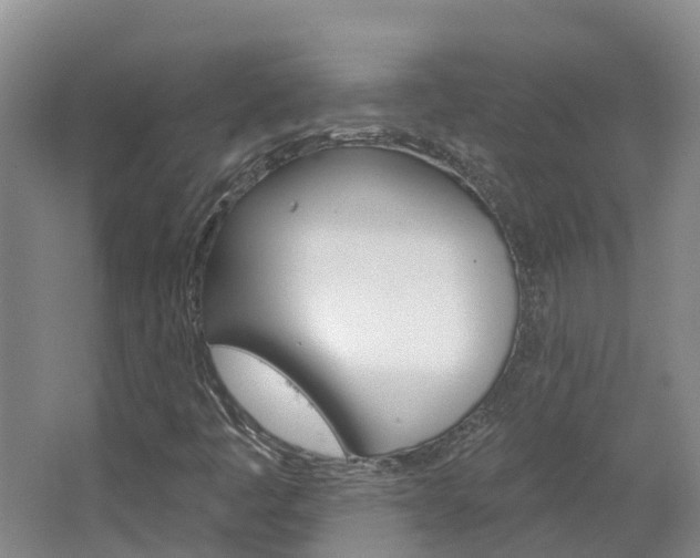 X0000067511445200604071036