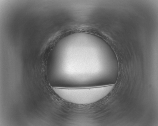 X0000067511447200604071036