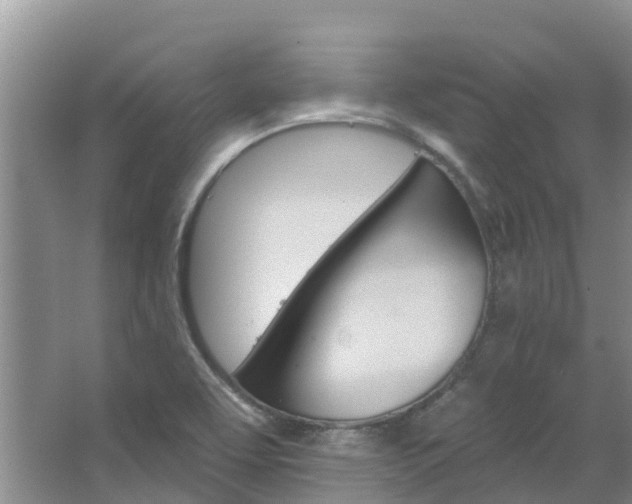 X0000067511463200604071036