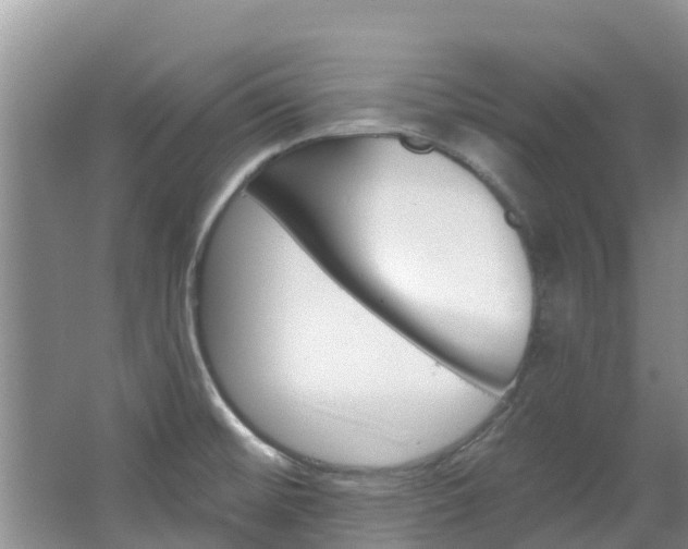 X0000067511476200604071036