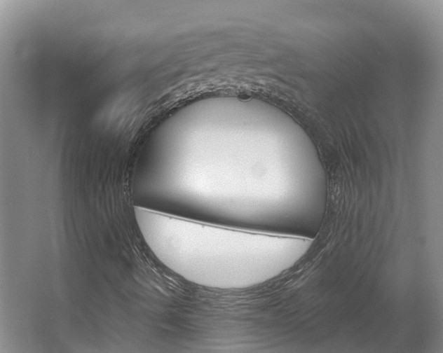 X0000067511490200604071035