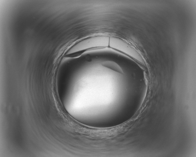 X0000067510001200604071304