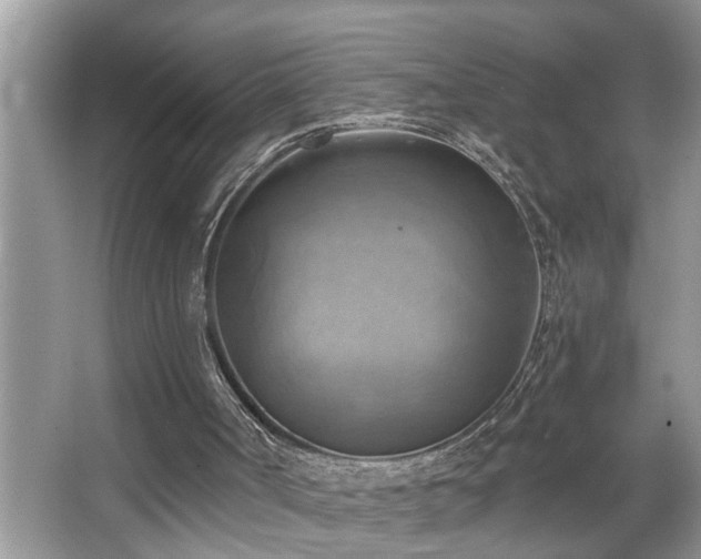 X0000067510002200604071304
